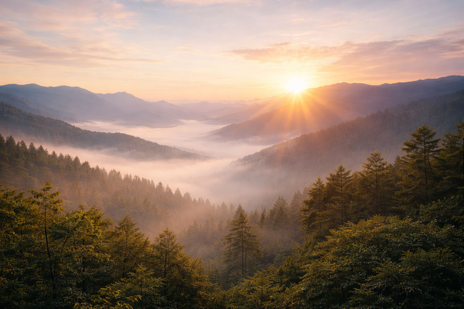 How to Raise Your Vibration Naturally and Consistently